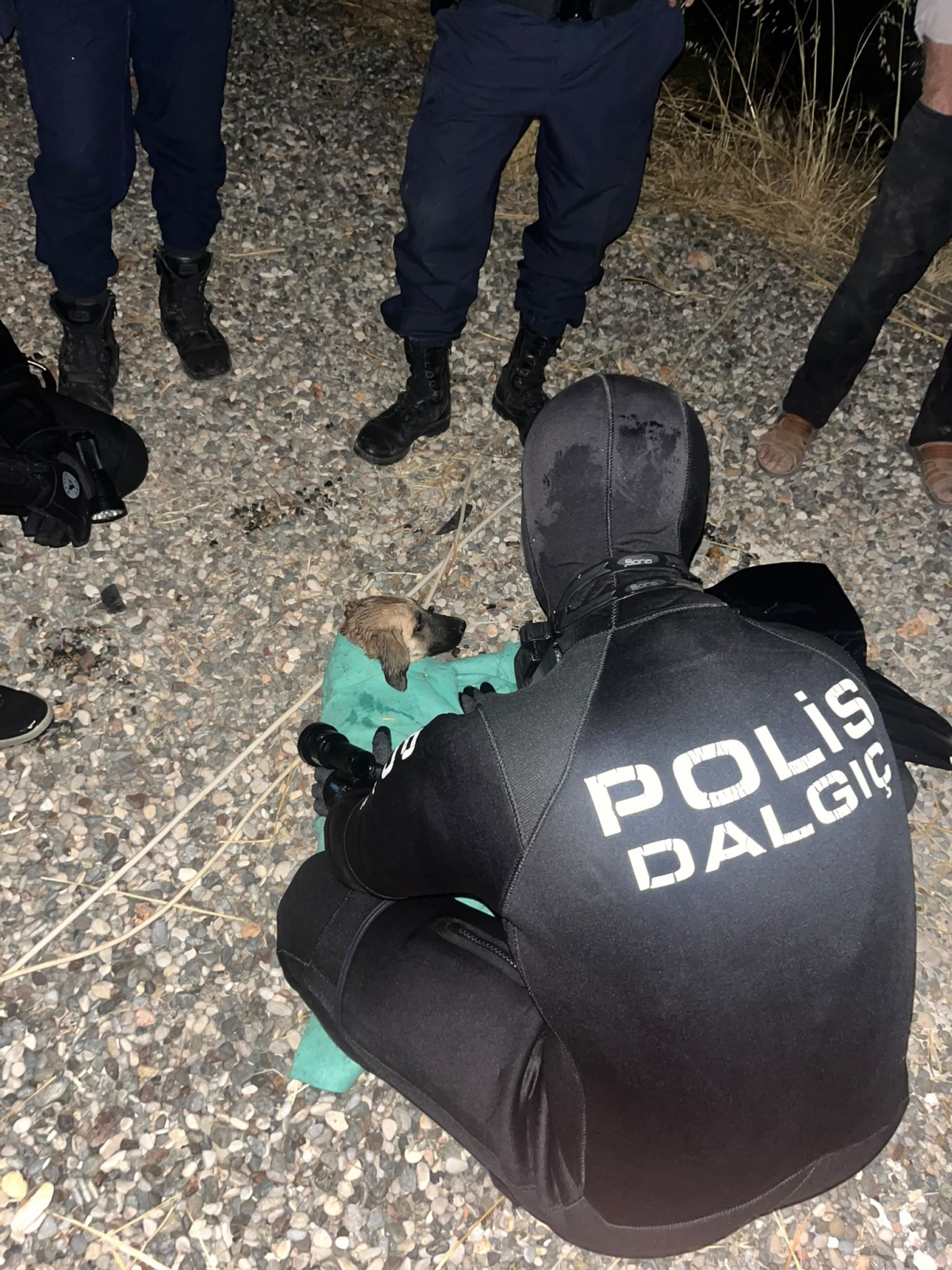 Gölete düşen yavru köpek dalgıç ekiplerince kurtarıldı
