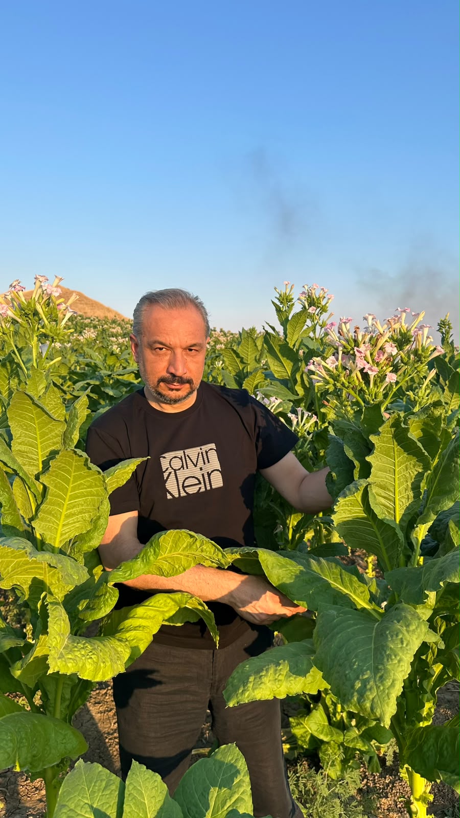 Adıyaman’da badem ve tütün üreticisi fiyat belirsizliğinin sona ermesini bekliyor