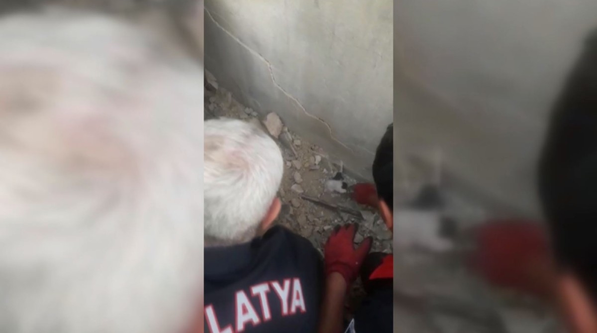 Enkaz altındaki yavru kedi kurtarıldı