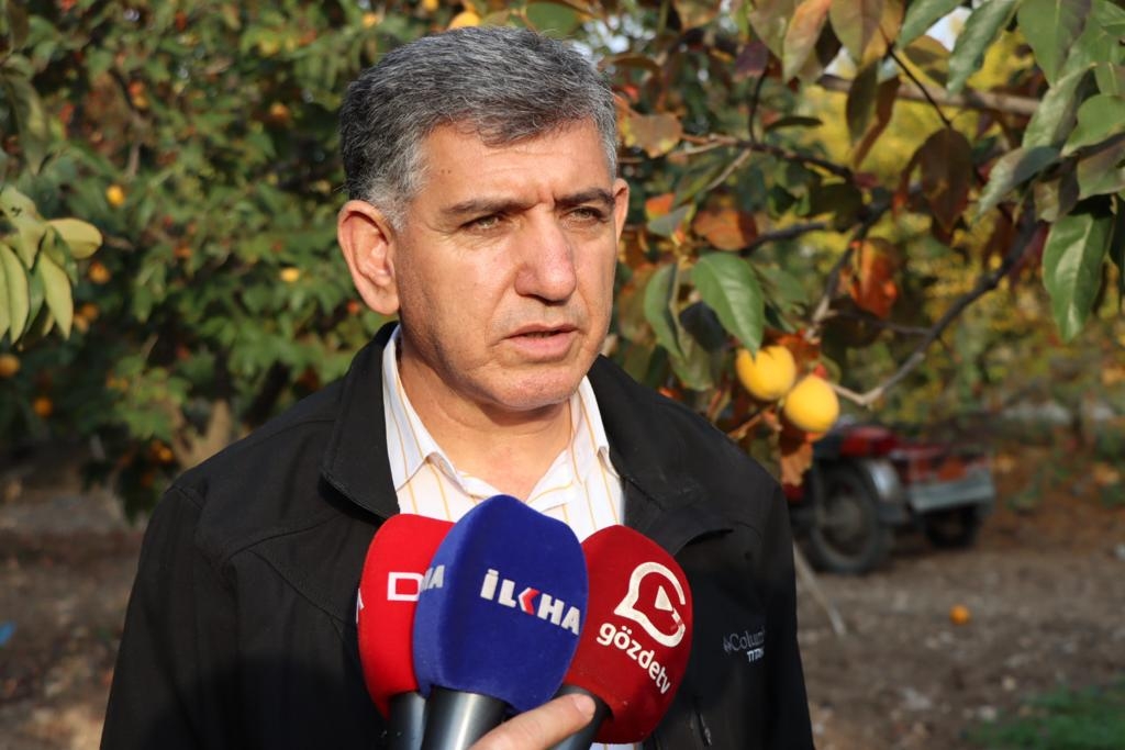 Gölbaşı'nda 10 bin ton hurma rekoltesi bekleniyor