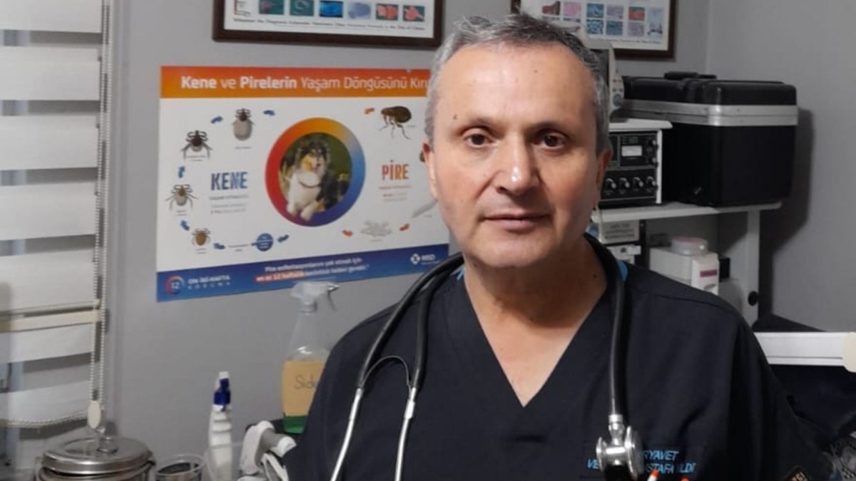 Veteriner Hekim Mustafa Yıldız: ‘Kedi ve köpek tüyleri doğrudan hastalık yapmaz’