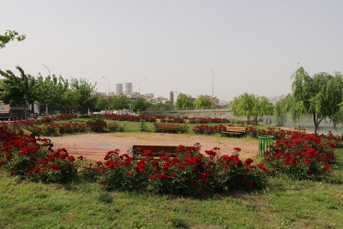 Şanlıurfa Belediyesi park ve bahçeleri yaza hazır hale getiriyor  - Videolu Haber