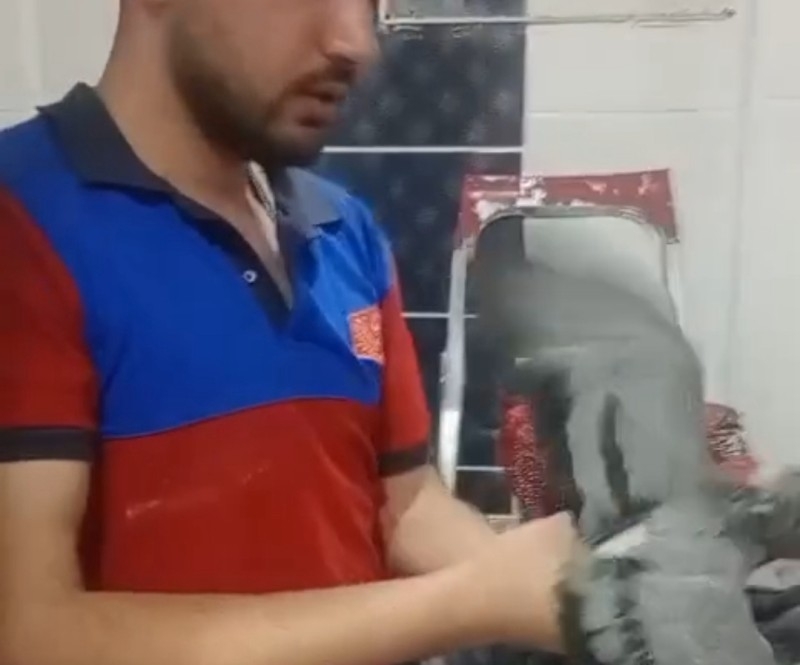 Havalandırma boşluğuna düşen güvercini itfaiye kurtardı  - Videolu Haber