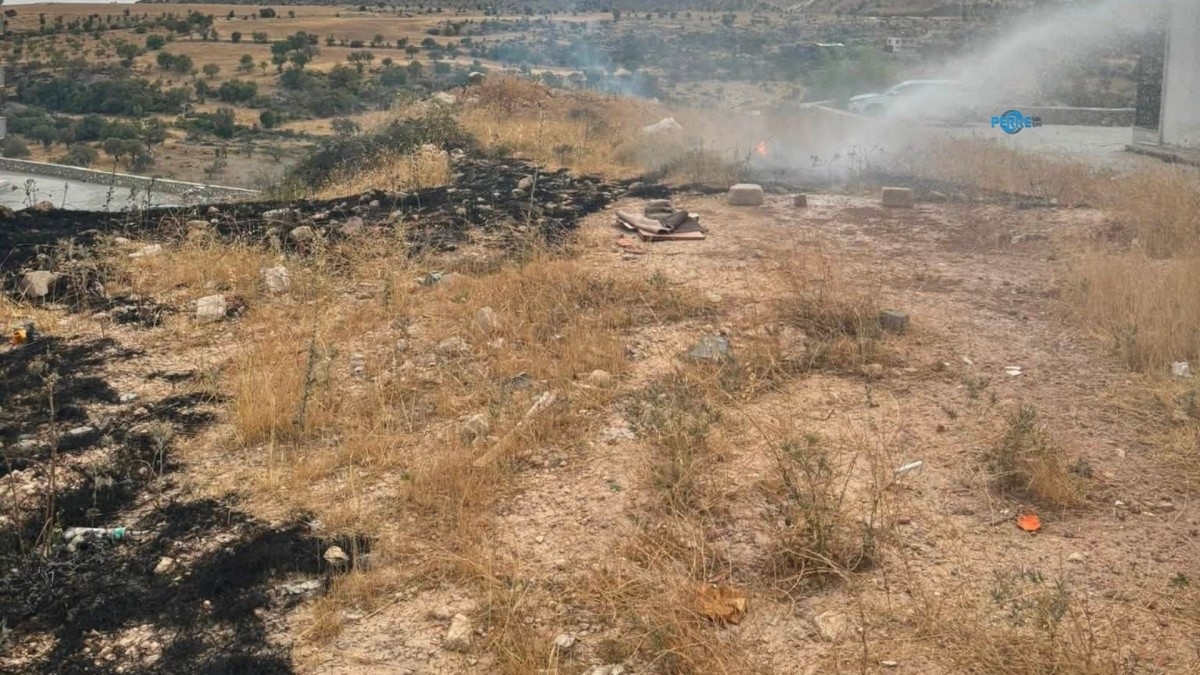 Besni’de anız yangını binalara sıçramadan söndürüldü