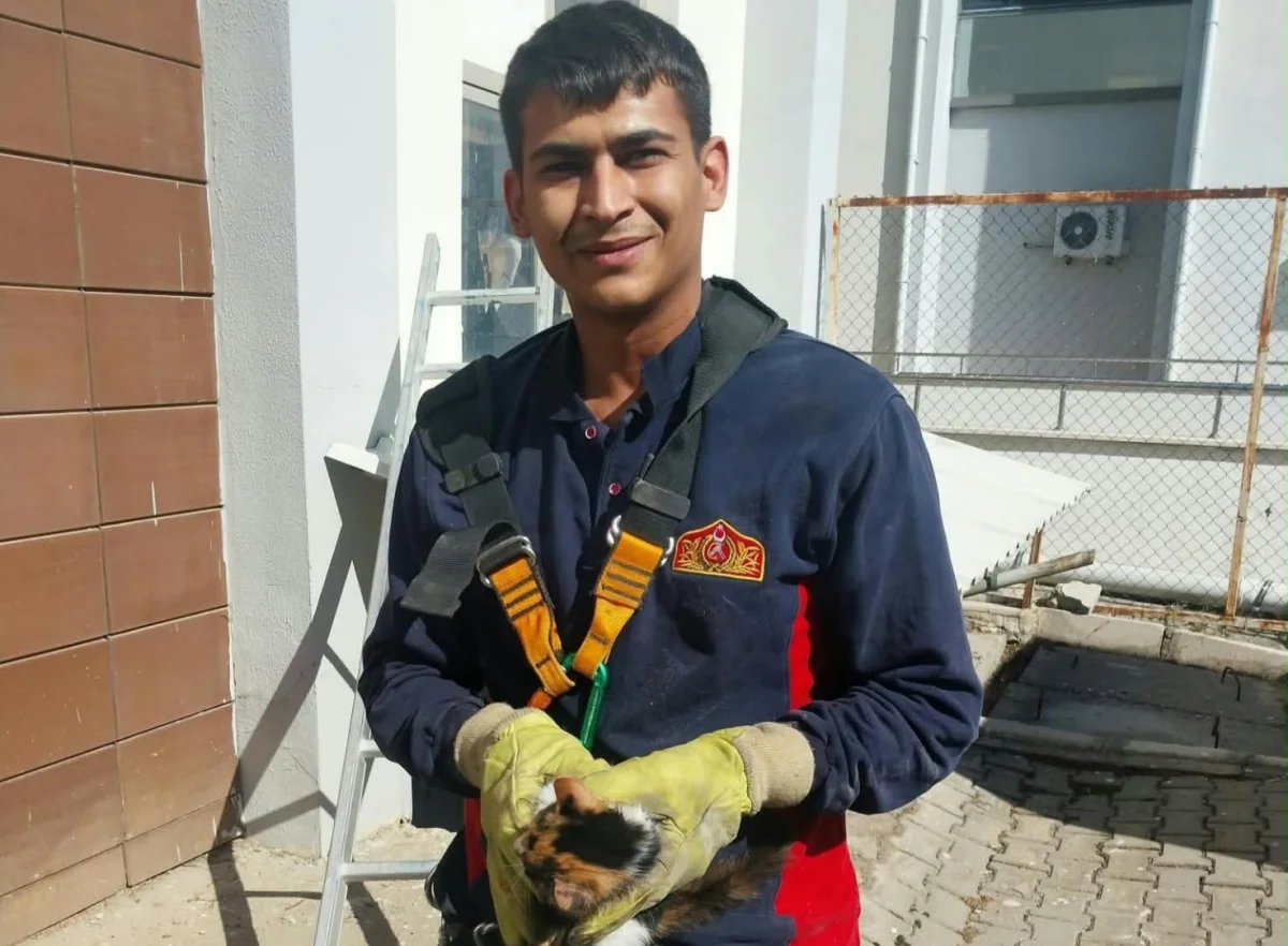 Hastanede havalandırma boşluğuna düşen kediyi itfaiye kurtardı